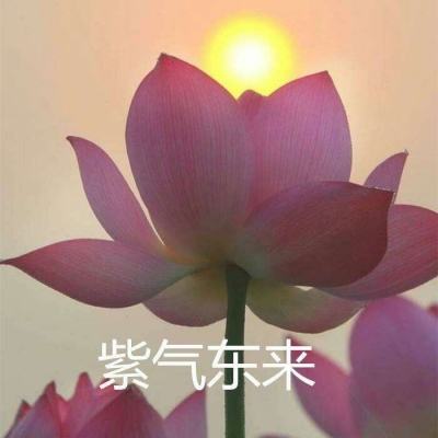赛尔号超级英雄vivo版本下载